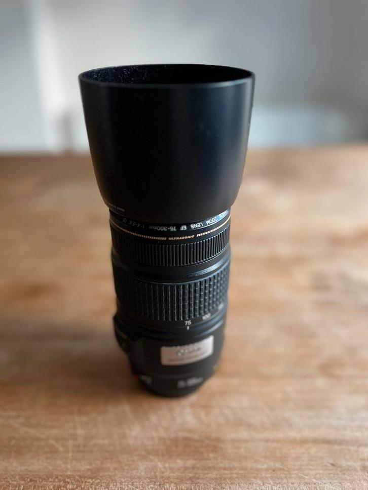 Canon EF 75-300mm IS Zoomlens, Audio, Tv en Foto, Fotografie | Lenzen en Objectieven, Gebruikt, Telelens, Zoom, Ophalen