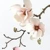 NR 18 Magnolia, Huis en Inrichting, Woonaccessoires | Kunstplanten en Kunstbloemen, Zo goed als nieuw, Binnen, Ophalen of Verzenden