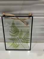 Diverse Woondecoratie - Planten, Vaas, Decoratie, Ophalen, Gebruikt