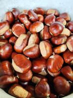 Verse kastanjes 4 kg voor 10 euro., Diversen, Ophalen of Verzenden