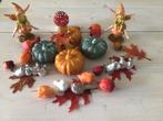 Pompoenen en herfst decoratie artikelen, Huis en Inrichting, Ophalen, Zo goed als nieuw