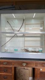 Kamer voliere / uitvlieg kooi, Ophalen, Zo goed als nieuw, Hout, Volière