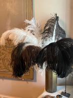 Prachtige struisvogel veren, Ophalen of Verzenden, Zo goed als nieuw