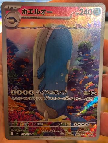 Wailord Battle Partners 2025 beschikbaar voor biedingen