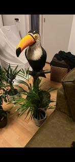 Grote toekan +- 120cm voor binnen of buiten vogel beeld, Ophalen of Verzenden, Zo goed als nieuw, Kunststof, Dierenbeeld