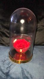 Longlife Rode Rose eeuwige rose, Nieuw, Ophalen of Verzenden