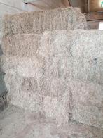 Mooie kleine hooibaaltjes, Dieren en Toebehoren, Dierenvoeding, Ophalen