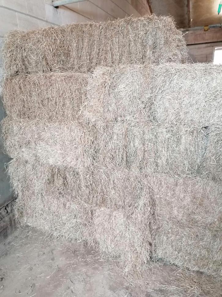 Mooie kleine hooibaaltjes, Dieren en Toebehoren, Dierenvoeding, Ophalen