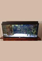 Prachtig Aquarium 120 liter Juwel met 3 Sluierstaartjes., Dieren en Toebehoren, Vissen | Aquaria en Toebehoren, Ophalen, Zo goed als nieuw
