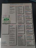 Postduif Marathon, Meerdere dieren, Postduif