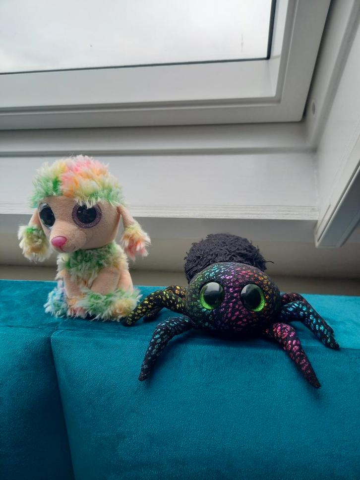 Ty Knuffels spin & poedel, Kinderen en Baby's, Speelgoed | Knuffels en Pluche, Zo goed als nieuw, Overige typen, Ophalen of Verzenden