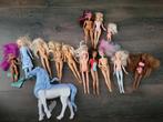 12 barbies, 2 andere poppen en het paard van Frozen., Kinderen en Baby's, Speelgoed | Poppen, Ophalen of Verzenden, Gebruikt, Barbie