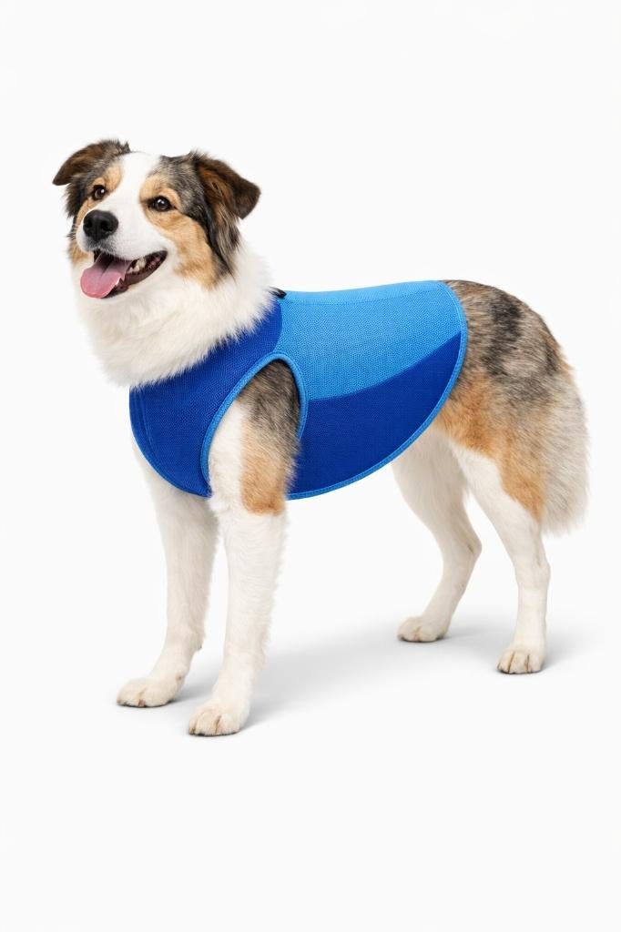 Partij blauwe koelvesten voor honden maat M, Dieren en Toebehoren, Honden-accessoires, NHP International, Sales@nhp-international.com