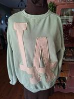 Trui l xl mintgroen, Ophalen of Verzenden, Zo goed als nieuw, Maat 46/48 (XL) of groter, Groen
