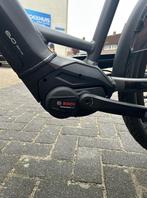 PEGASUS Ravenna EVO 5F Belt NL Wave Black Chrome Matt 28 Inc, Overige merken, -, - 0
-, NL, Nieuw