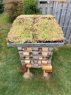 Groen  Sedum dak ook voor uw hout opslag of ??, Overige soorten, Volle zon, Vaste plant, Ophalen of Verzenden
