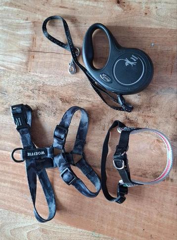 Honden riemen/ tuigjes van  ook een van woefie  beschikbaar voor biedingen
