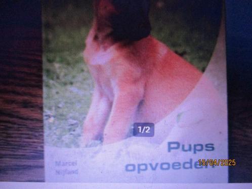 pups opvoeden Marcel Nijland 9789058410573, Boeken, Dieren en Huisdieren, Gelezen, Honden, Ophalen of Verzenden