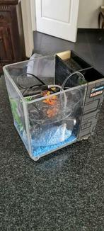 Complete Aquarium te koop, Ophalen, Gebruikt, Leeg aquarium