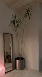 RVS grote bloempot verrijdbaar - Design Planter/ planten pot, Tuin en Terras, Bloempotten, Ophalen, 40 cm of meer, Rond, Tuin