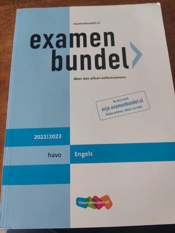 Tineke van Putten - havo Engels 2022/2023 beschikbaar voor biedingen