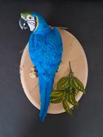 Mooi beeld van een papegaai voor aan de muur, Ophalen of Verzenden, Nieuw, Dier