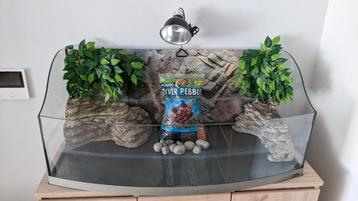 Ferplast Terrarium voor (water)schildpad+extra's 