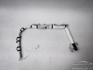 Nissan Juke 2011+ hemel/dak airbag Links 0589-P1-0036 0589P1 beschikbaar voor biedingen