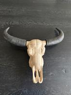 Decoratieve skull, Ophalen of Verzenden, Gebruikt