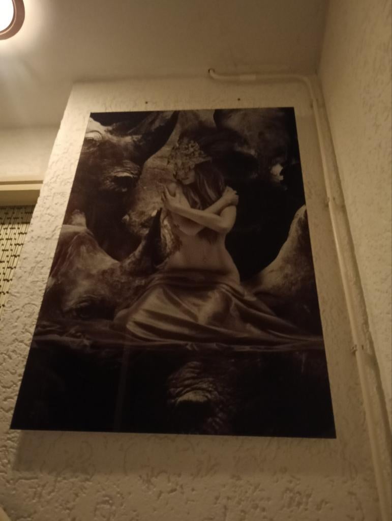 Glasschilderij vrouw met neushoorns, Ophalen