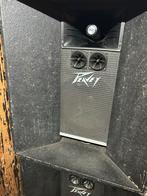Vintage Peavey Speakers & Versterkers, Ophalen, Gebruikt, Minder dan 500 watt, P.A.
