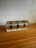 Kevers / insecten in epoxy, Ophalen of Verzenden, Zo goed als nieuw, Insect