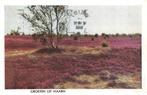 Groeten uit Maarn, Heide, Verzamelen, Ansichtkaarten | Nederland, Ophalen of Verzenden, 1960 tot 1980, Gelopen, Utrecht