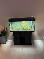 Juwel aquarium zwart, Ophalen of Verzenden, Leeg aquarium