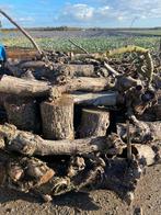 Kraggenburg Elzen bomen openhaard hout te koop, Tuin en Terras, Haardhout, 6 m³ of meer, Ophalen, Elzenhout