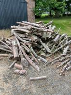 haardhout, Tuin en Terras, Haardhout, Minder dan 3 m³, Ophalen, Overige houtsoorten, Takken