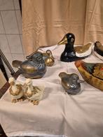 eenden verzameling, Ophalen of Verzenden, Zo goed als nieuw, Dier