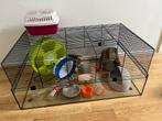 Hamsterkooi met glazen bak, Dieren en Toebehoren, Kooi, Gebruikt, Minder dan 75 cm, Hamster