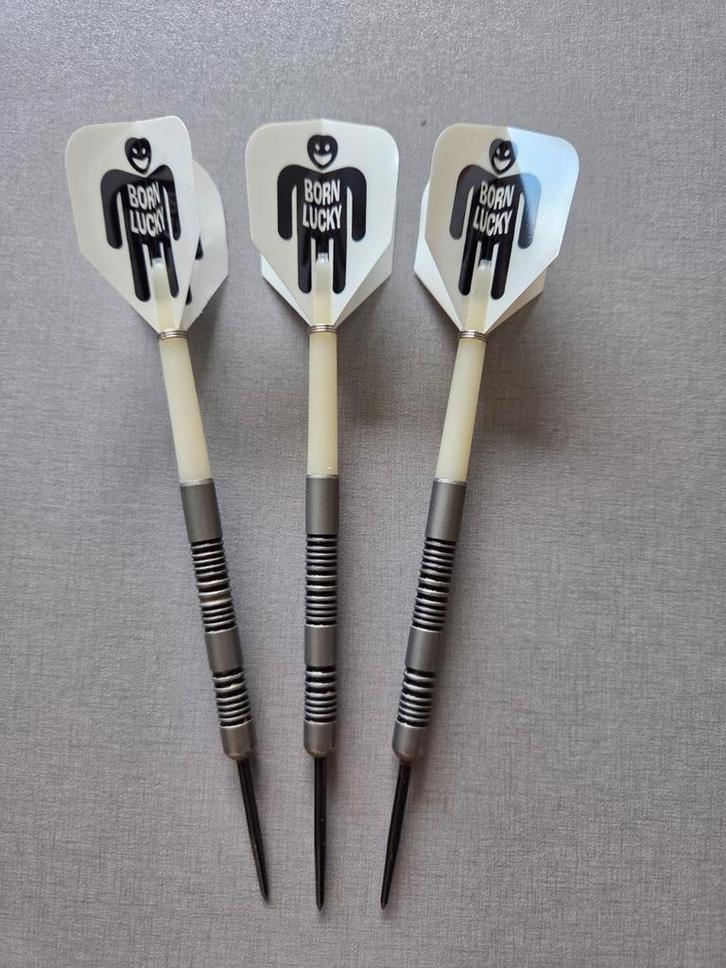 Dartpijlen 24 gram met Opbergdoos, Sport en Fitness, Darts, Gebruikt, Pijlen, Ophalen of Verzenden