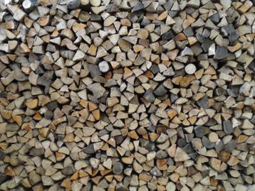 Haardhout hobby zoekt bomen. kappen, vellen, stormhout beschikbaar voor biedingen