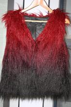 Expresso bodywarmer., Expresso, Ophalen of Verzenden, Nieuw