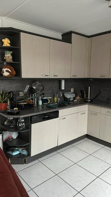 Gratis Kueken full (Kitchen Complete) beschikbaar voor biedingen