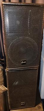 Grooth SJ-110 Professionele Speaker, Audio, Tv en Foto, Luidsprekers, Overige merken, Gebruikt, Ophalen of Verzenden, 120 watt of meer