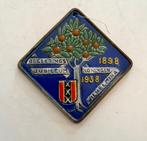 Tegel Jubileum Koningin Wilhelmina, Antiek en Kunst, Ophalen of Verzenden