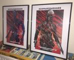 Terminator, Ophalen of Verzenden, Film en Tv