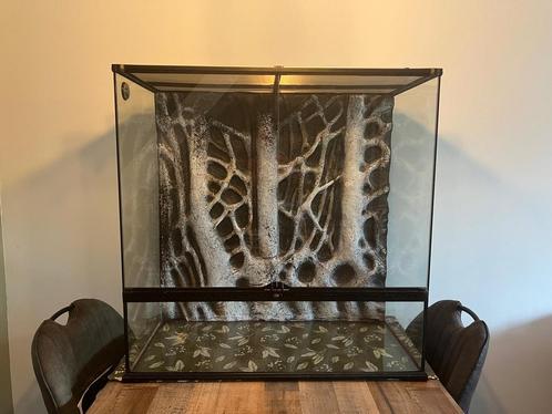 Exo terra large 90x45x90 terraruim, Dieren en Toebehoren, Reptielen en Amfibieën | Toebehoren, Zo goed als nieuw, Terrarium of Paludarium
