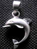 Zilveren 925 zilver kettinghanger met een mooie dolfijn, Verzenden, Nieuw, Zilver, Dier