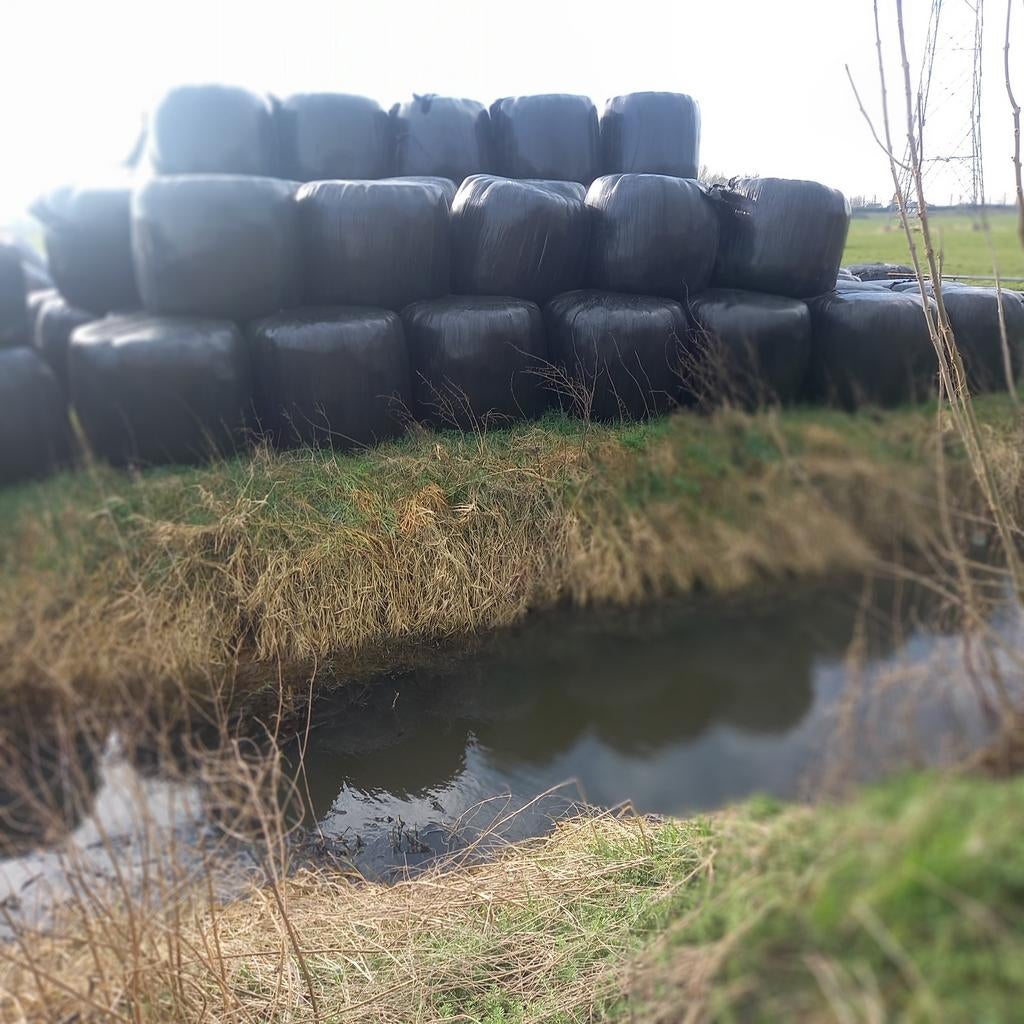Kuilgras balen derde snede - Groot formaat, Ophalen of Verzenden