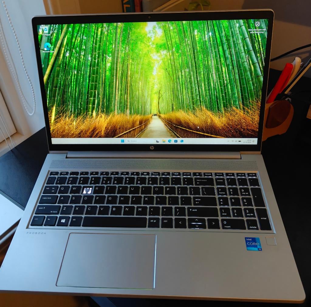 HP Probook 450 G8 - 15.6 FHD - i5, Ophalen, Gebruikt, 2 tot 3 Ghz, .  HP