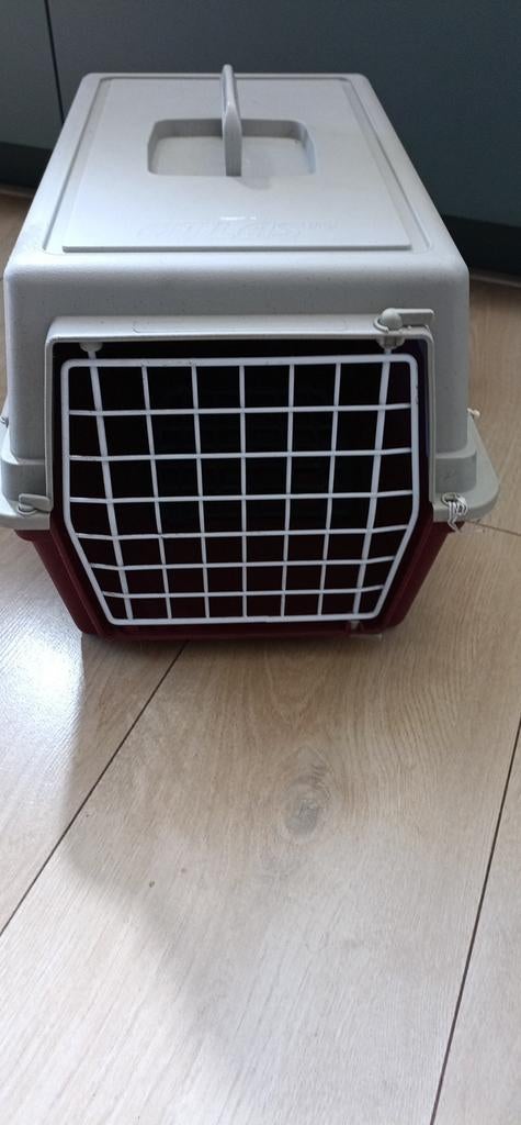 Kattenreismand, Ophalen